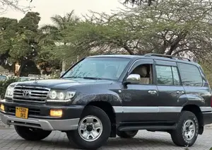Toyota Land Cruiser 2006 Gray