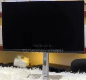 Dell Frameless Monitor