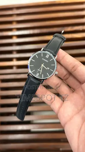 Casual Watch With Sleek Design