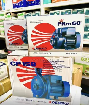 Pedrollo PKm 60 Peripheral Water Pump Box
