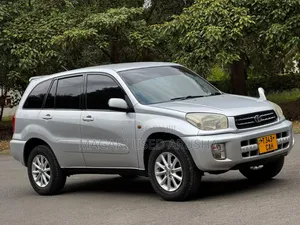 Toyota RAV4 2004 Silver