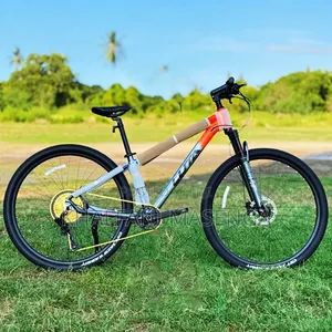 Pro Racing Mountain Bike 12 Gears