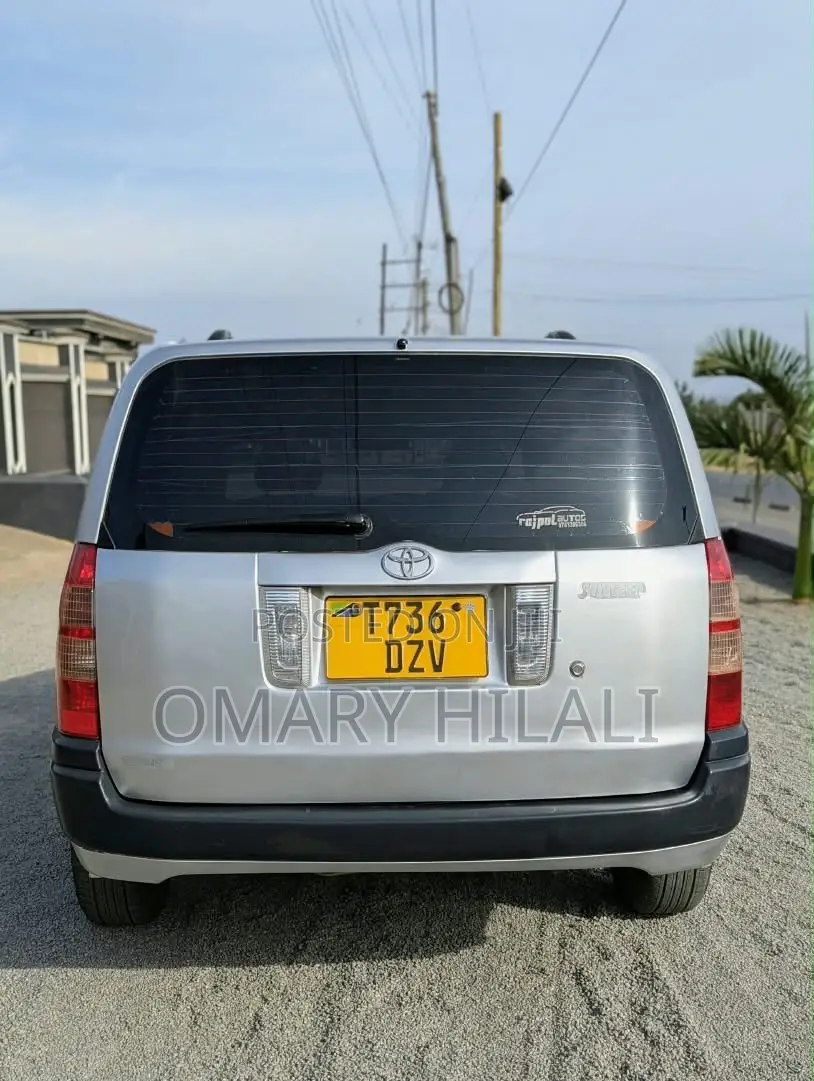 Toyota Succeed 2005 Silver