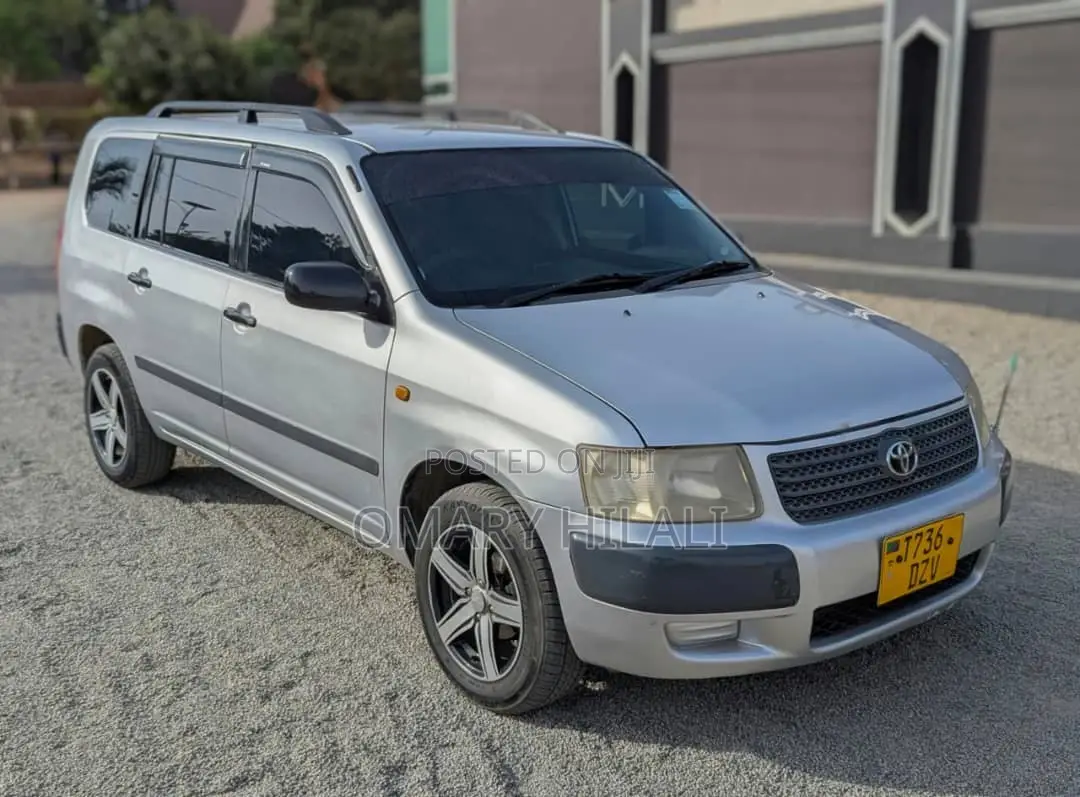 Toyota Succeed 2005 Silver