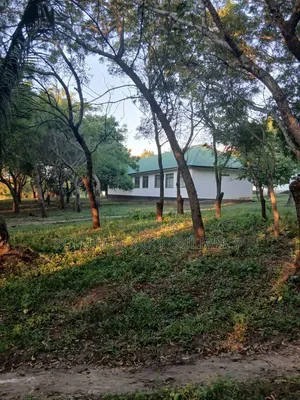 Shule Inauzwa Ipo Bagamoyo