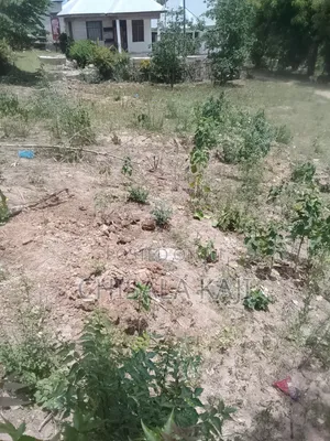 Kiwanja Salasala