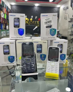 New Samsung B310
