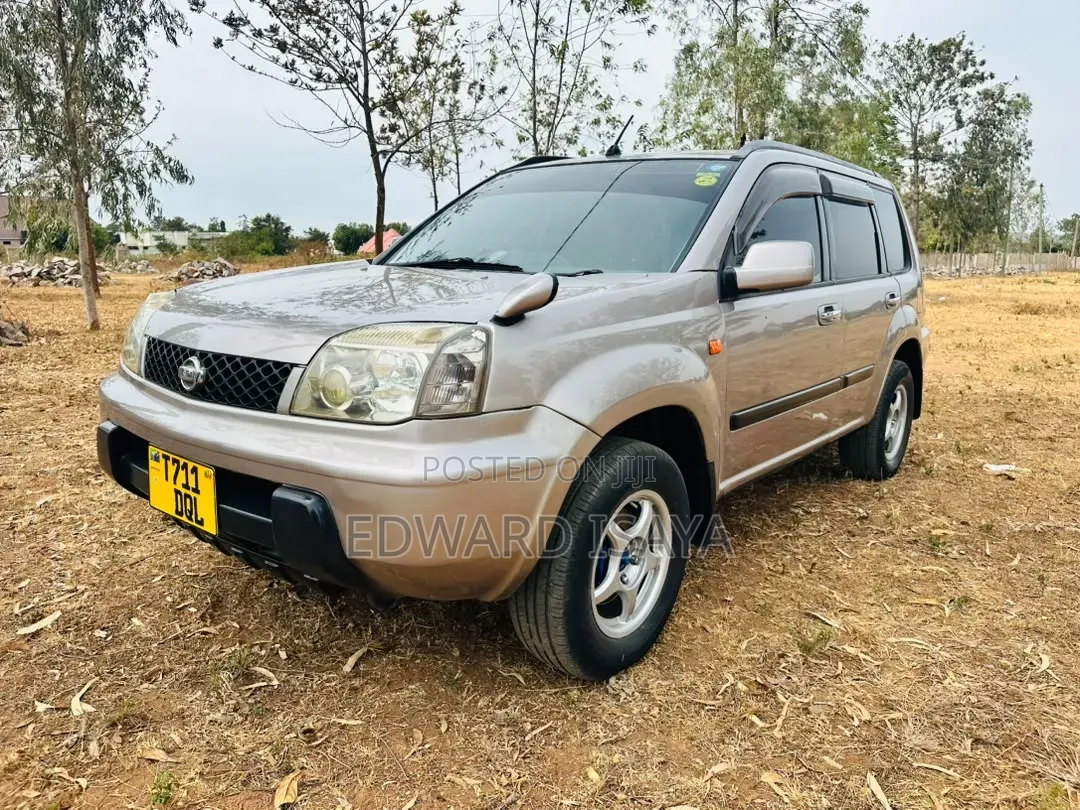 Nissan X-Trail 2005 Gray