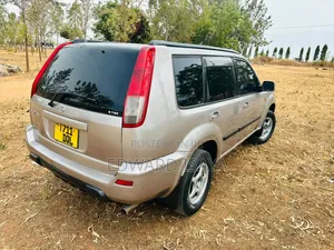 Nissan X-Trail 2005 Gray
