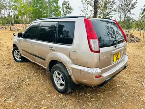 Nissan X-Trail 2005 Gray