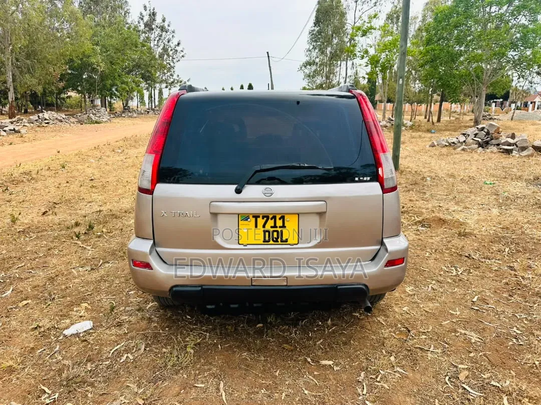 Nissan X-Trail 2005 Gray