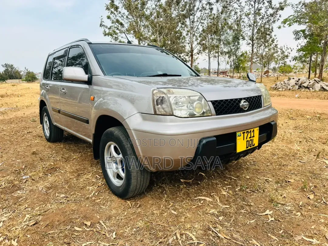 Nissan X-Trail 2005 Gray