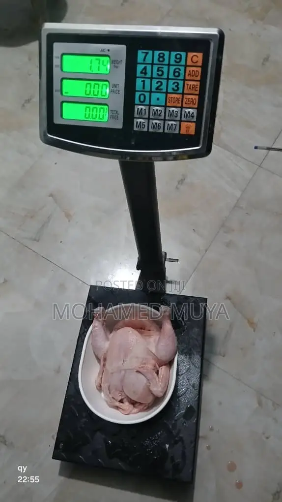 Organic Broiler Chicken
