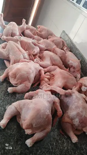 Organic Broiler Chicken