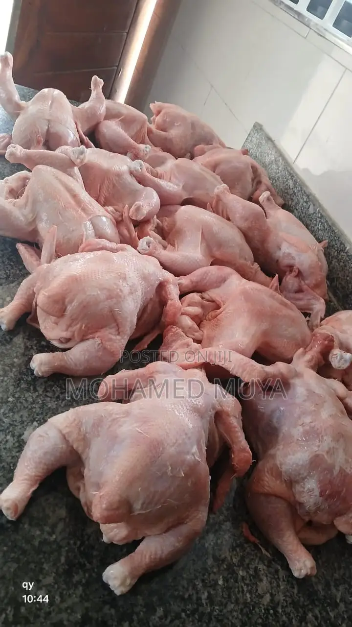 Organic Broiler Chicken