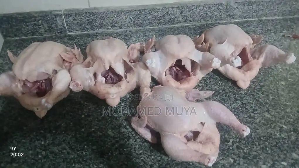 Organic Broiler Chicken