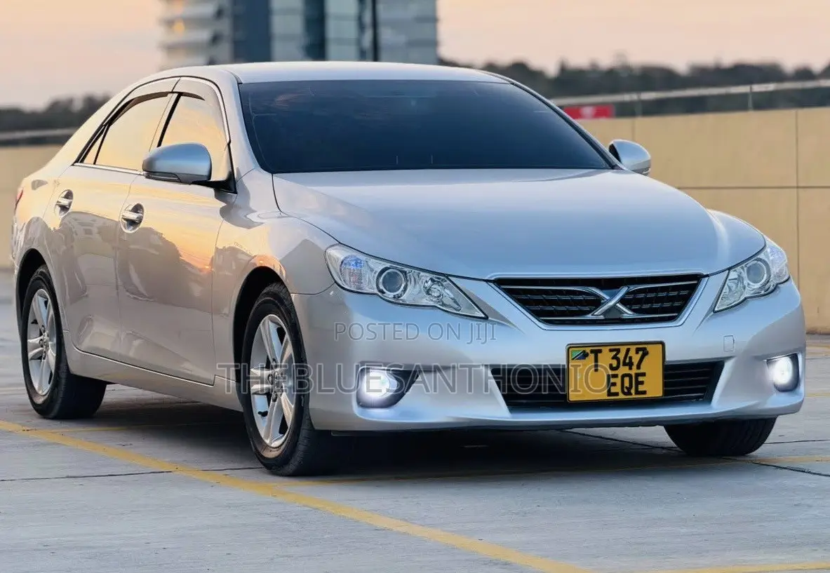Toyota Mark X 2010 Silver