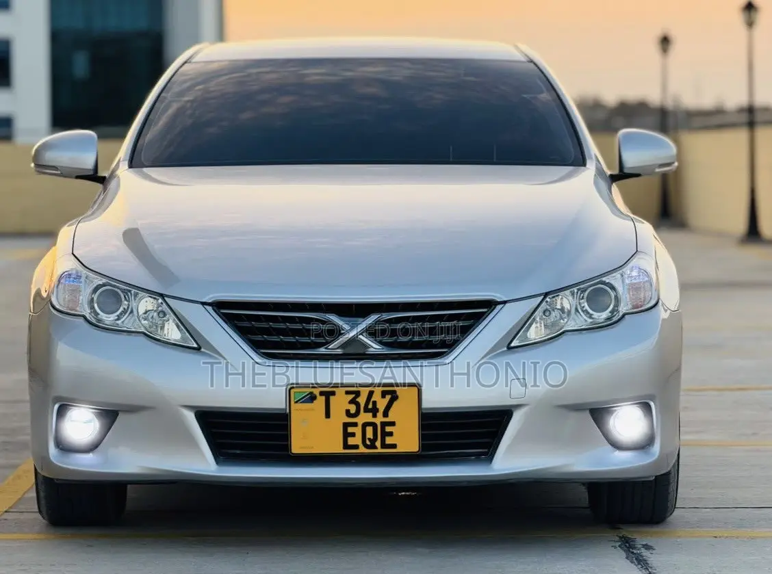 Toyota Mark X 2010 Silver