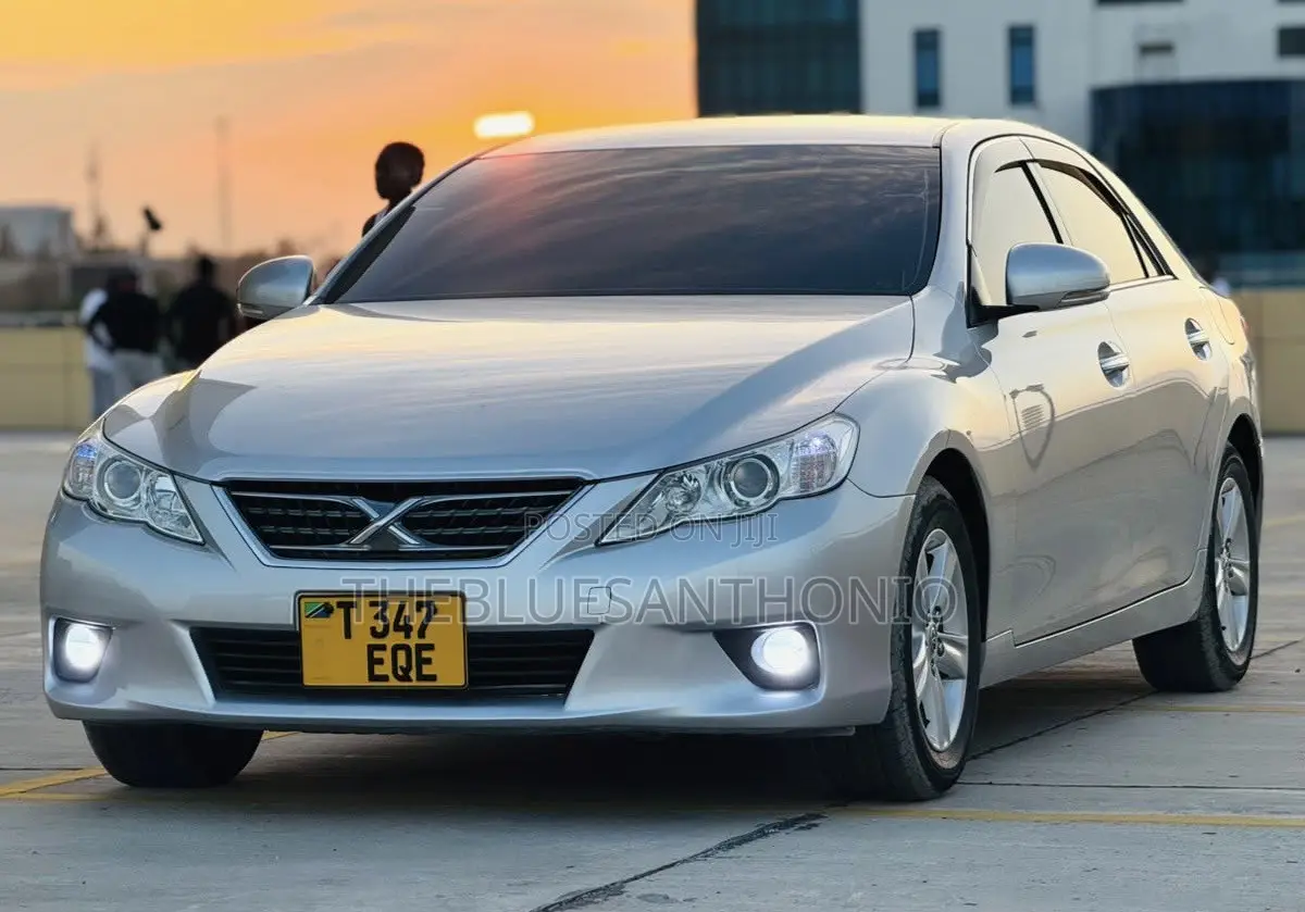Toyota Mark X 2010 Silver