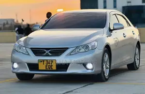Toyota Mark X 2010 Silver