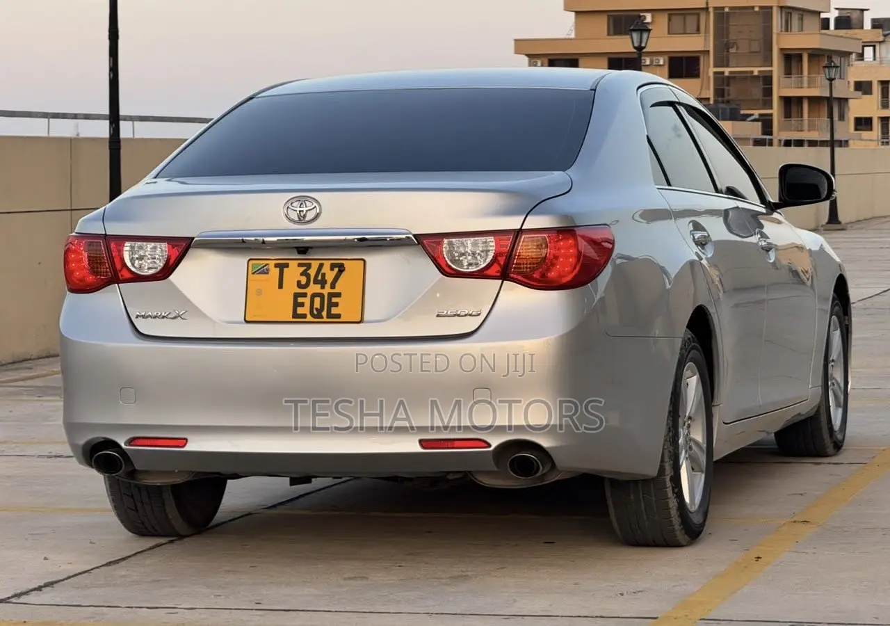 Toyota Mark X 2010 Silver