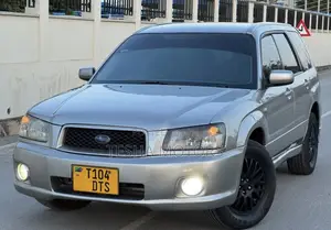 Subaru Forester 2004 Silver