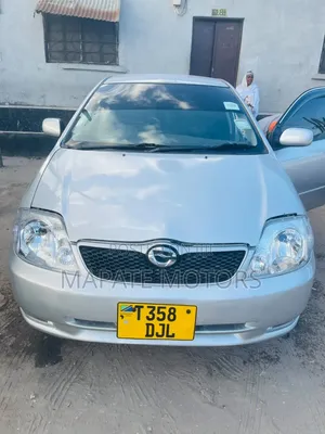 Toyota Allex 2005 Silver