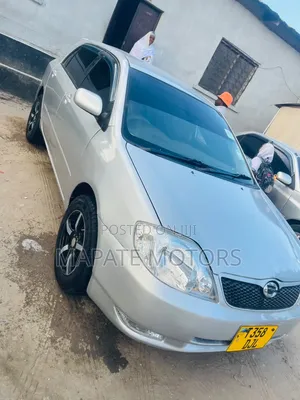 Toyota Allex 2005 Silver