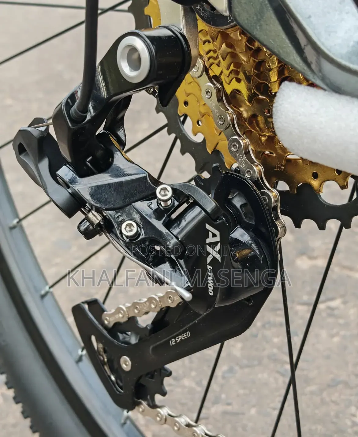 Pro Racing Mountain Bike 12 Gears