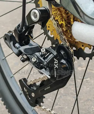 Pro Racing Mountain Bike 12 Gears
