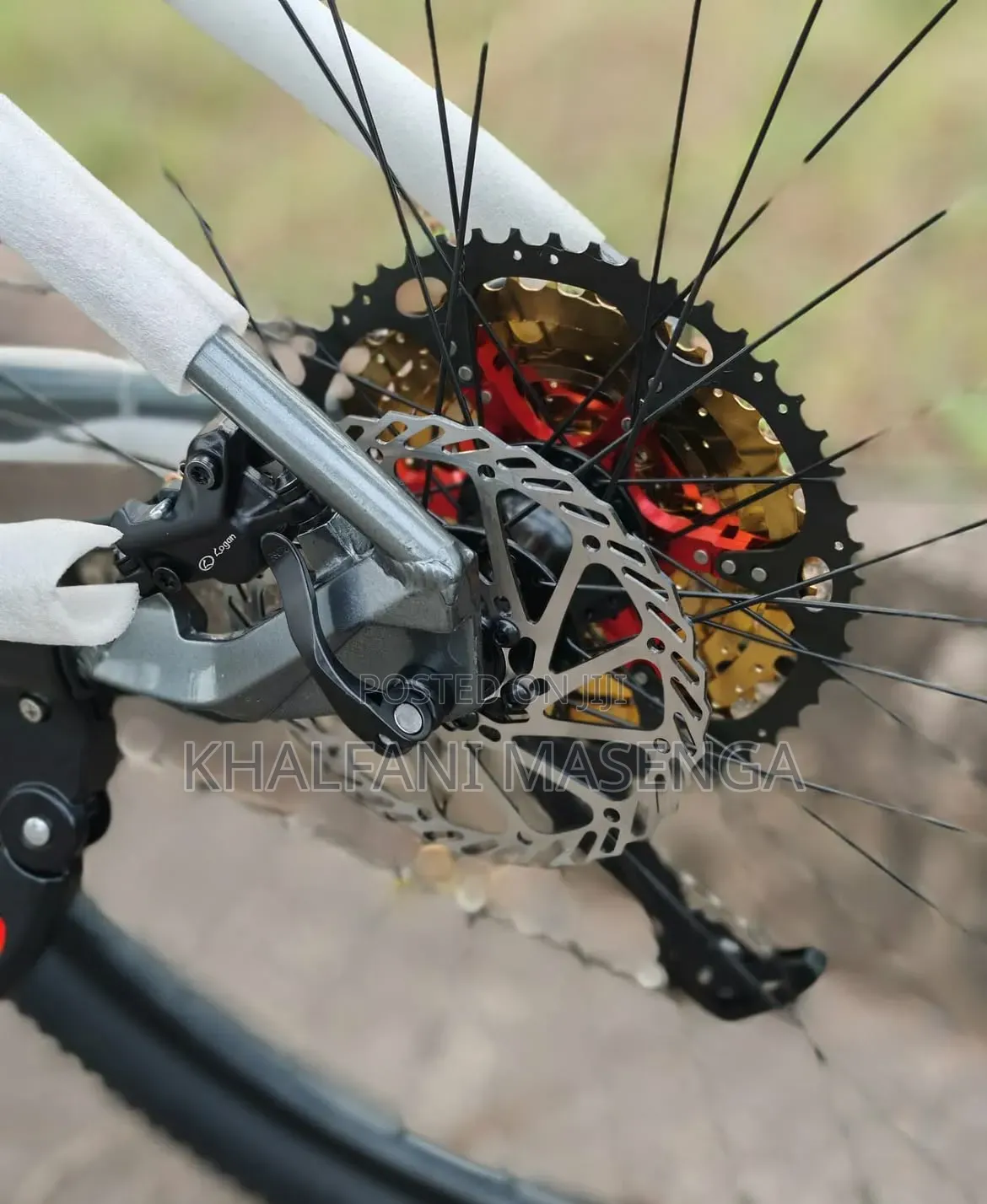 Pro Racing Mountain Bike 12 Gears