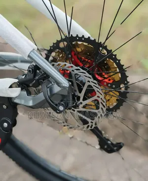 Pro Racing Mountain Bike 12 Gears