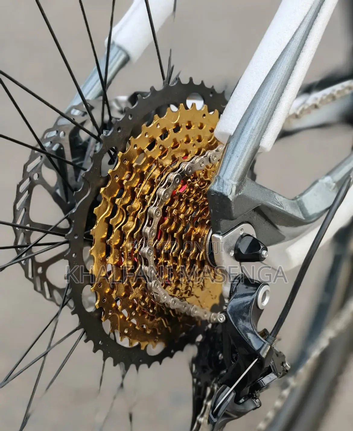Pro Racing Mountain Bike 12 Gears
