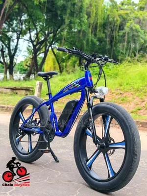 LUTA Electric Bike Premium Product