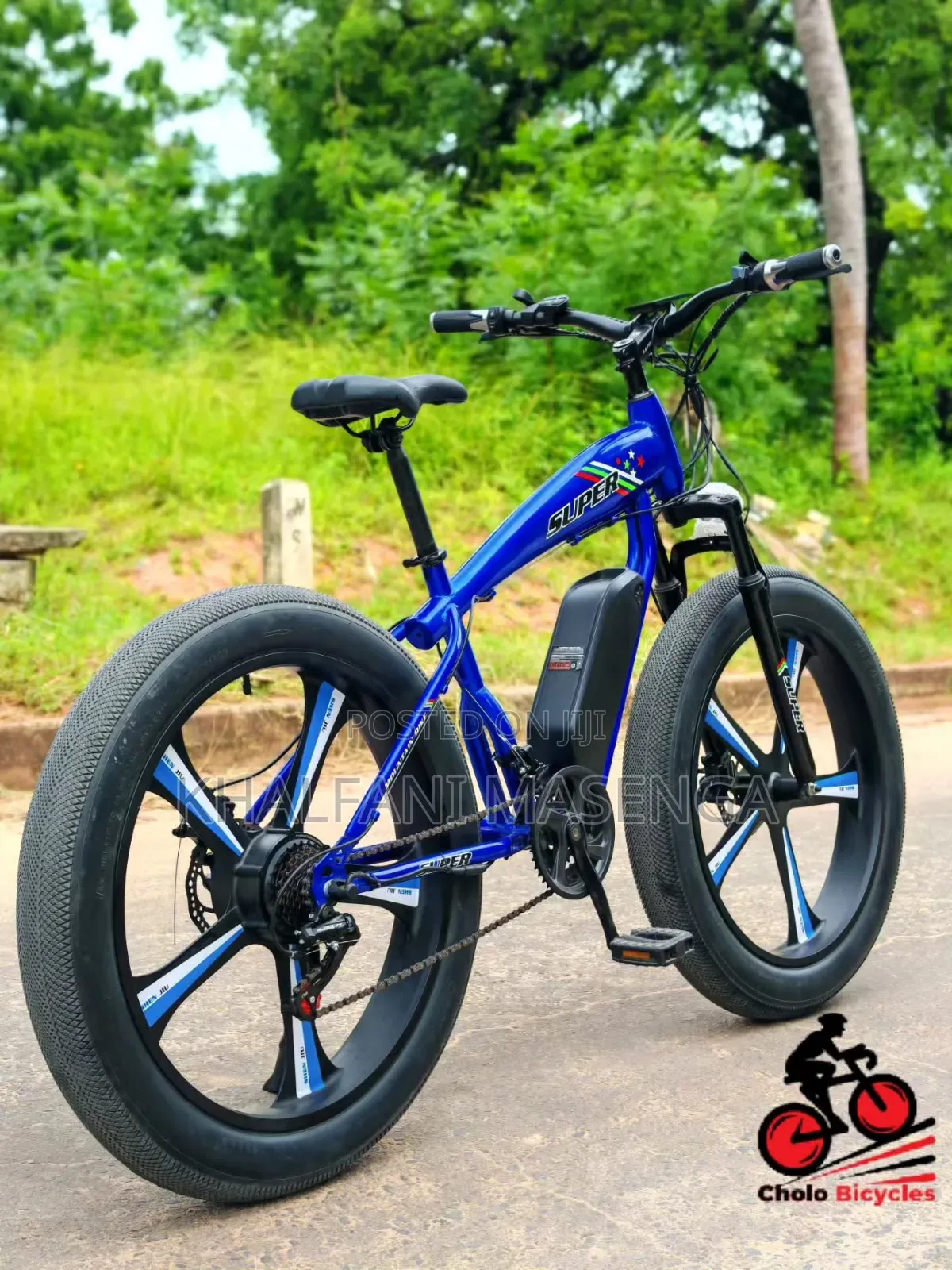 LUTA Electric Bike Premium Product