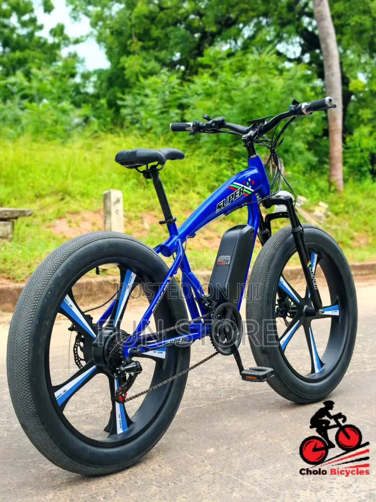 LUTA Electric Bike Premium Product