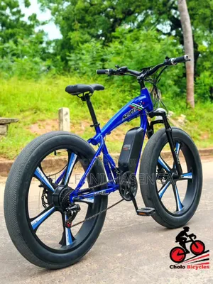 LUTA Electric Bike Premium Product