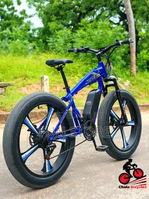 LUTA Electric Bike Premium Product