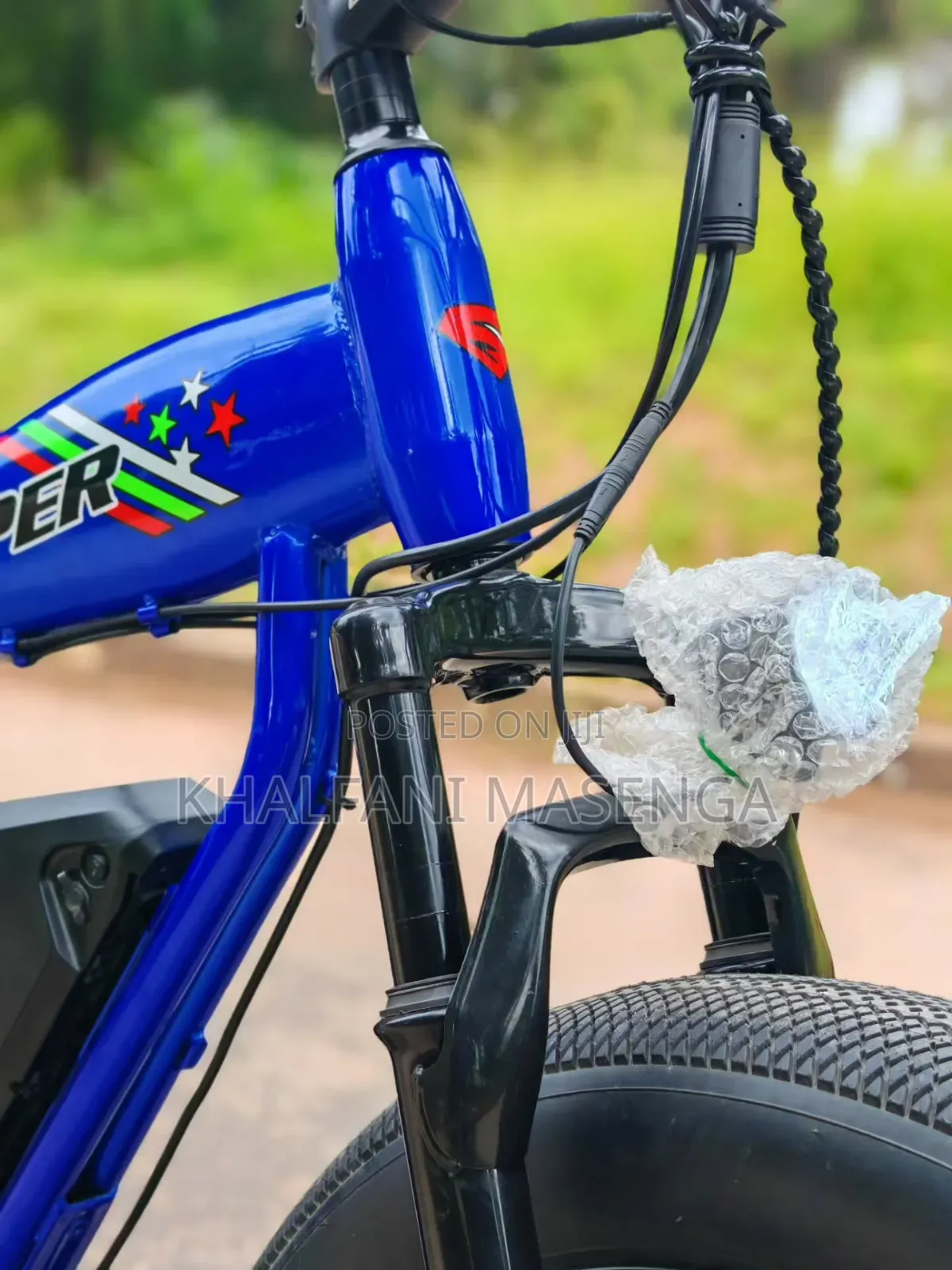 LUTA Electric Bike Premium Product