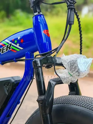 LUTA Electric Bike Premium Product