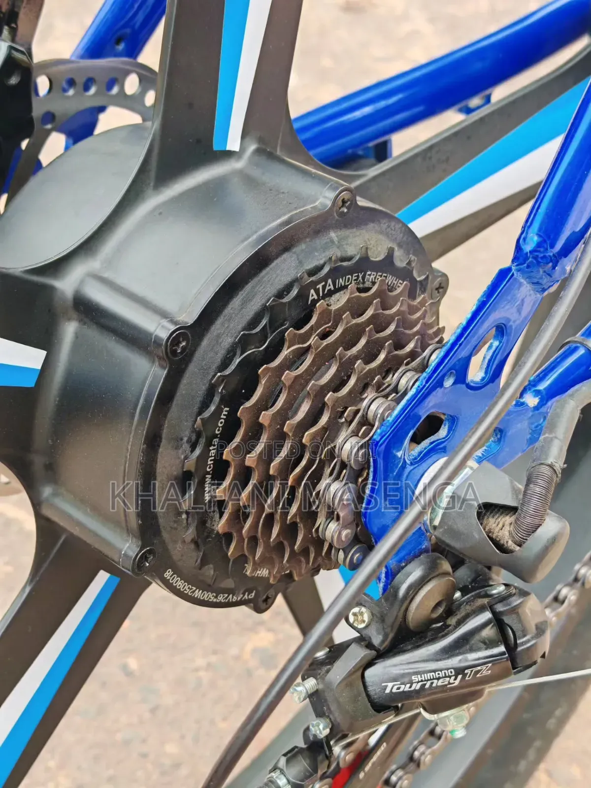 LUTA Electric Bike Premium Product