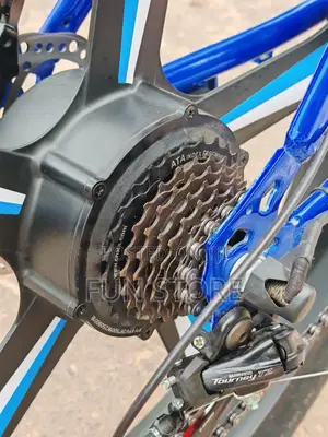 LUTA Electric Bike Premium Product