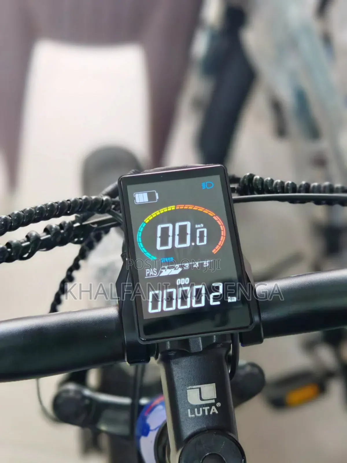 LUTA Electric Bike Premium Product