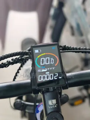 LUTA Electric Bike Premium Product