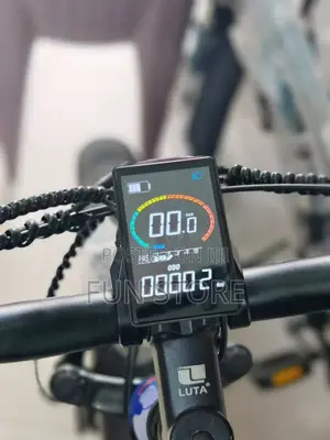LUTA Electric Bike Premium Product