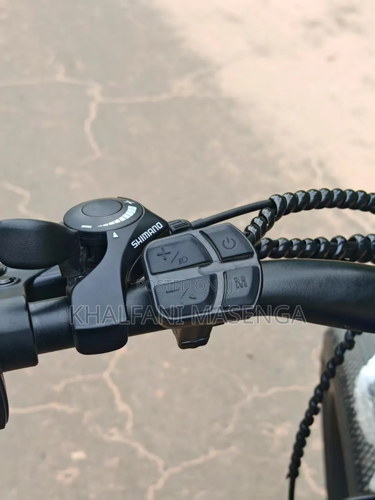 LUTA Electric Bike Premium Product