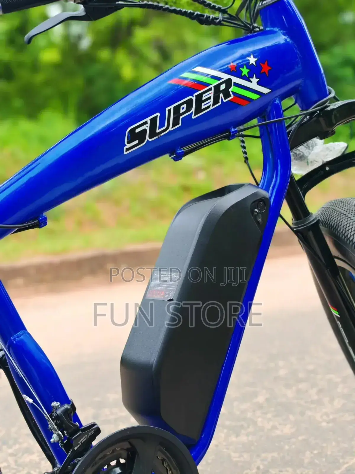 LUTA Electric Bike Premium Product