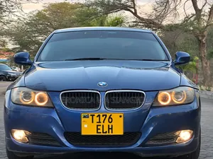 BMW 3 Series 2010 Blue