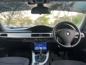 BMW 3 Series 2010 Blue
