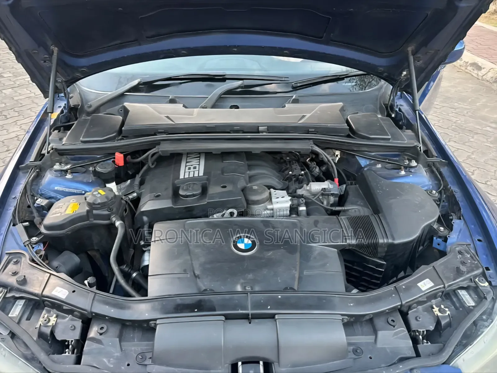 BMW 3 Series 2010 Blue